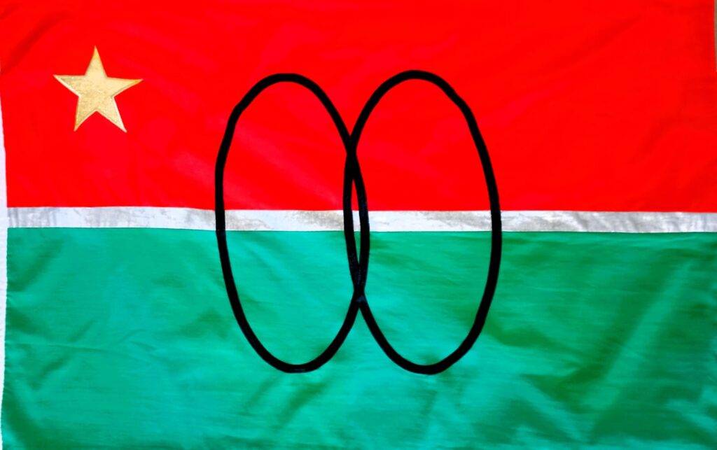 MONIGOTES
